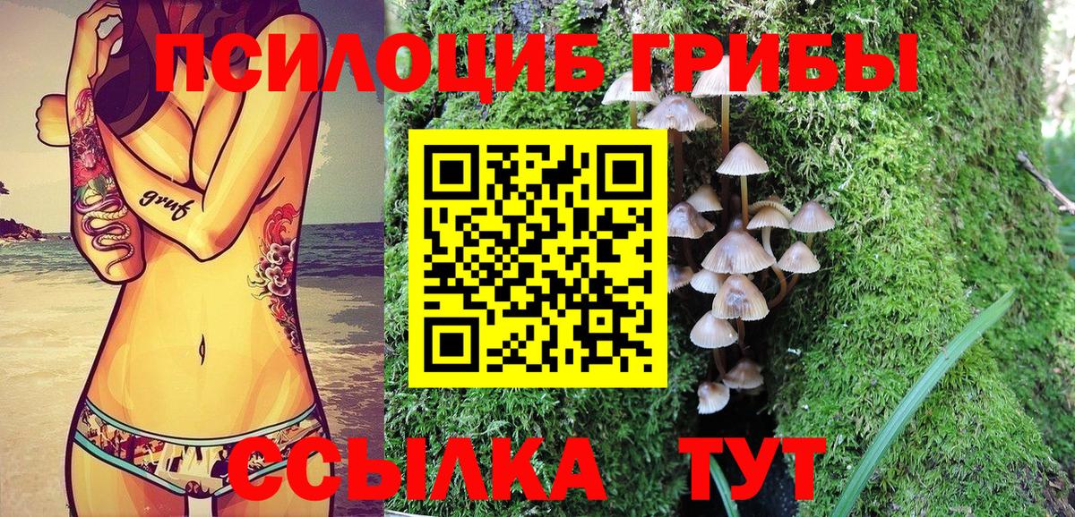 Галлюциногенные грибы GOLDEN TEACHER Изобильный