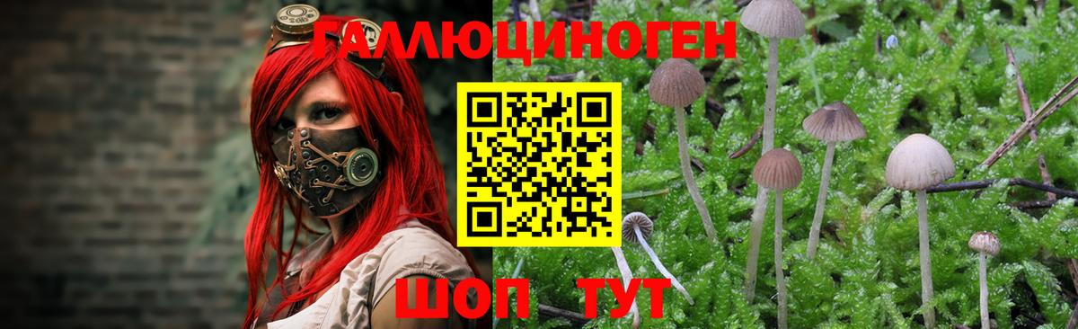 купить наркотики цена  Псилоцибиновые грибы прущие грибы  Вход с VPN  Изобильный 